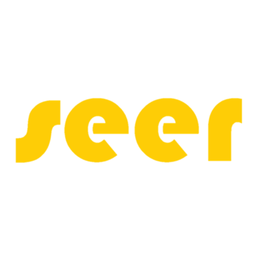 Seer Consulting